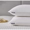 Blue Ridge Back-Sleeper White Goose Feather & Down Fiber Pillows, King, PK2 CN229102K - alternate 2